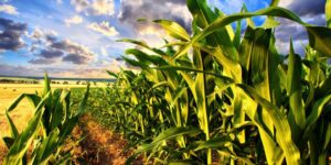 powered-irrigation-engines-image
